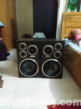 Pioneer speaker